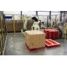 RFA Robotpalletiser systeem RD080N voor 1 lijn met handmatige afvoer beladen pallets