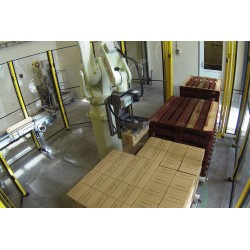 RFA RD080N Robot Palletising System for 1 line with 1 pallet conveyer