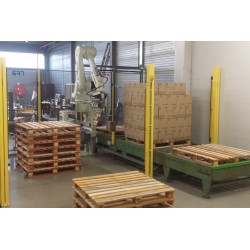RFA RD080N Robot Palletising System for 1 line with 1 pallet conveyer