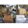 RFA RD080N Robot Palletising System for 2 lines with 2 pallet conveyors