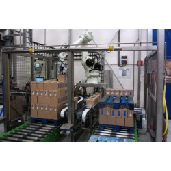 RFA RD080N Robot Palletising System for 2 lines with 2 pallet conveyors