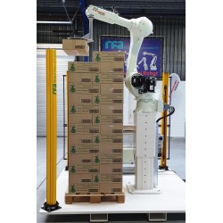 RFA Robotpalletiser systeem RS020N voor 1 lijn met handmatig aan- en afvoer pallets